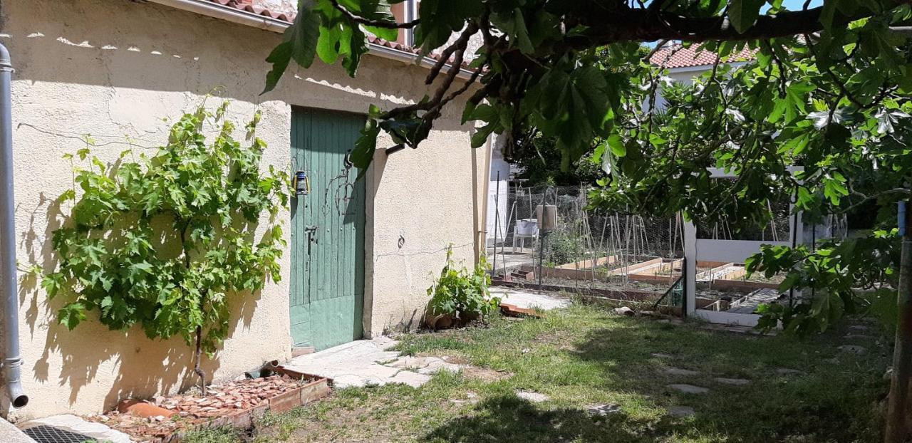 Chambre d'hôtes du Mas Julianas Saint-Laurent-de-la-Salanque Exterior foto